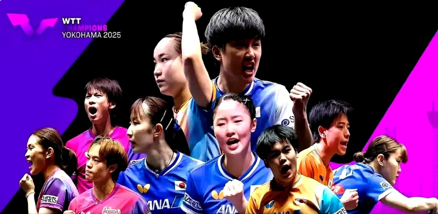 多次输掉外, ws, 链子 多次输掉外, ws, 链子