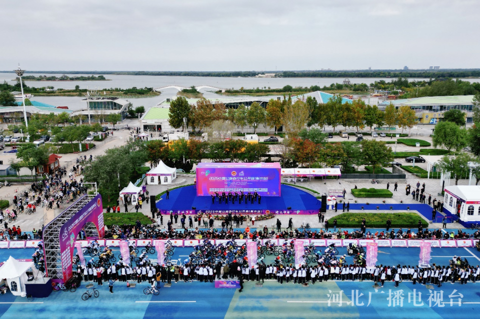 basel, 和大中华个, Mcuc